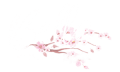 Bella-Vida-Styles-Reversed